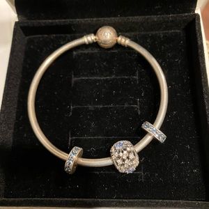 Pandora Bangle with Charms